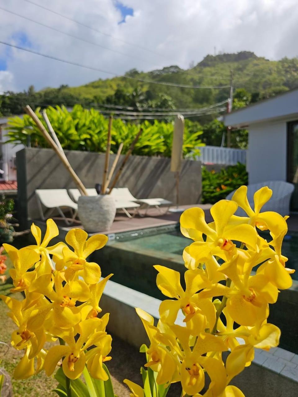 Villa Elodia By Le Duc Hotel & Villas Pointe Au Sel Экстерьер фото